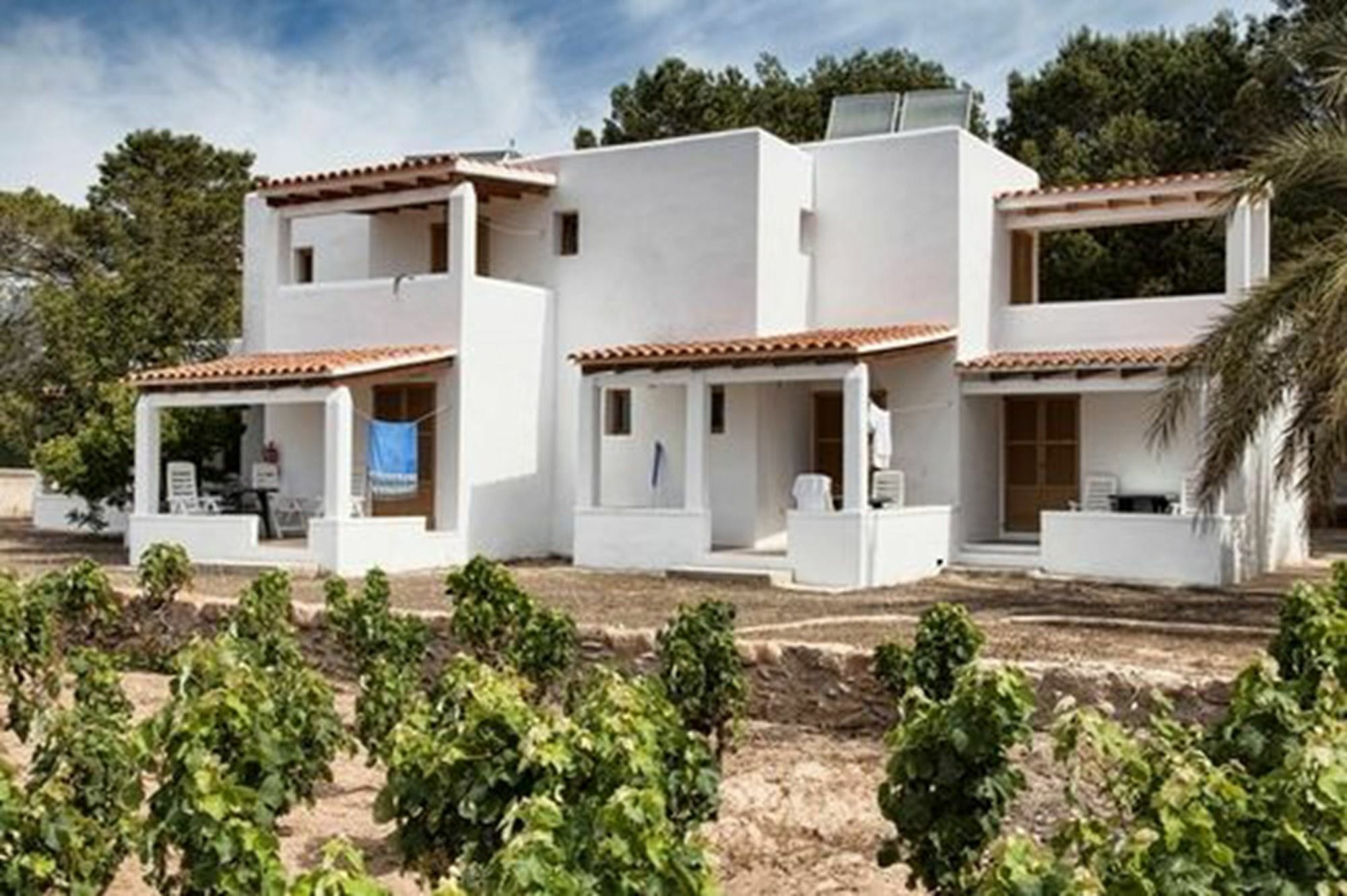 Bungalows Es Pins - Emar Hotels Playa de Migjorn Esterno foto