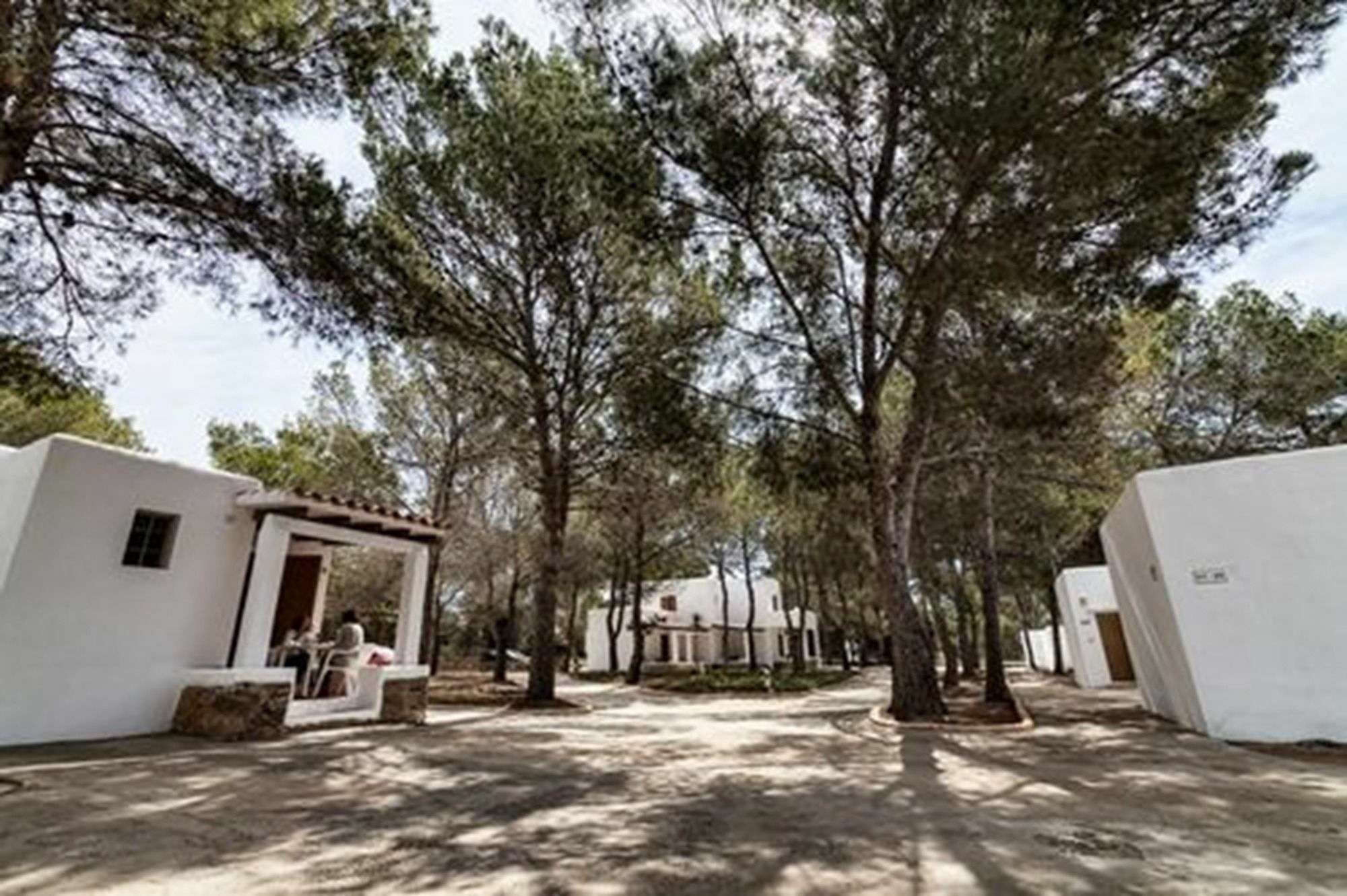 Bungalows Es Pins - Emar Hotels Playa de Migjorn Esterno foto